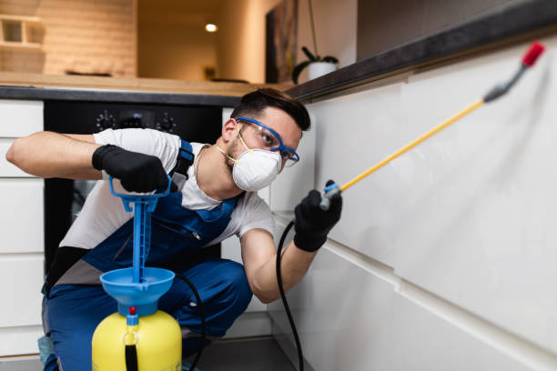 Best Wildlife Control Services  in Woods Cross, UT