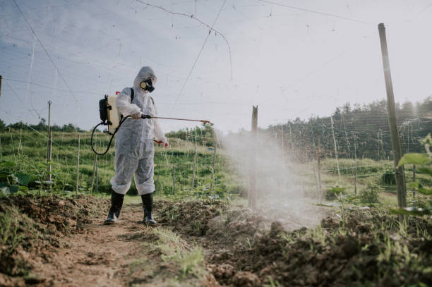 Best Pest Control for Businesses  in Woods Cross, UT