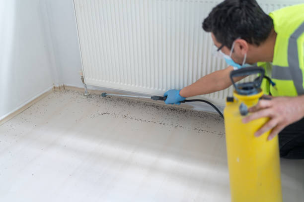 Best Cockroach Control Services  in Woods Cross, UT