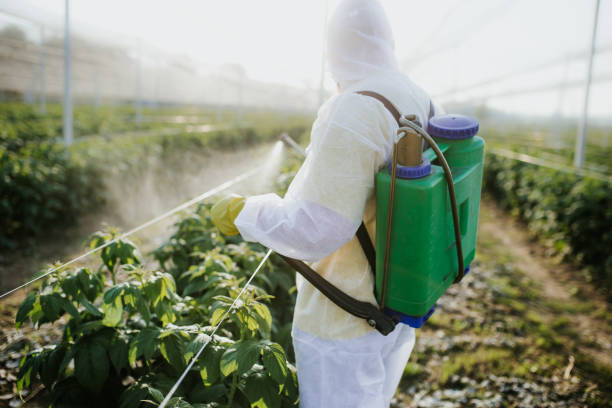 Best Bed Bug Extermination  in Woods Cross, UT